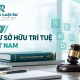 Top 10 Luật sư Sở hữu trí tuệ uy tín tại Việt Nam